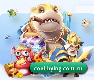 cool-bying.com.cn的故事